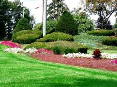 best, who to call for landscapers testimonials company